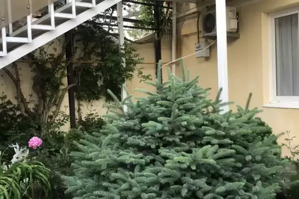Гостевой дом «На ул. 9 мая» Гостевой дом «На ул. 9 мая»