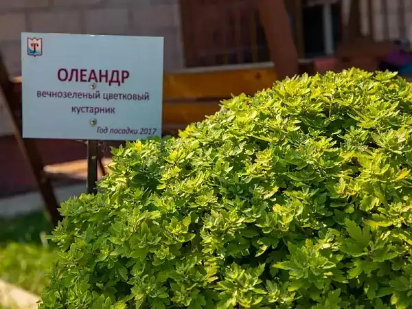 Частный сектор «Семейный таунхаус в морском стиле» Частный сектор «Семейный таунхаус в морском стиле»