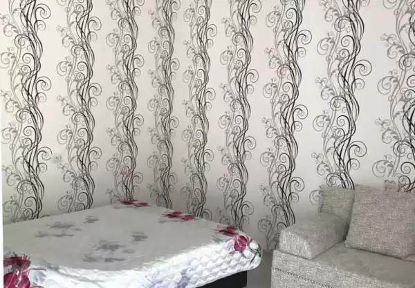 Частный сектор «Дом Мрия» Частный сектор «Дом Мрия»