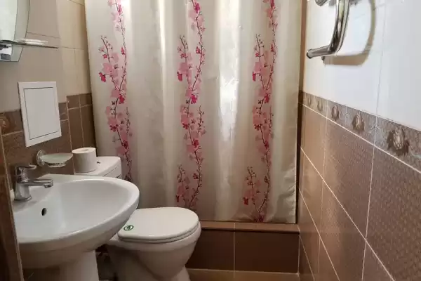 Отель «Феникс» Отель «Феникс»